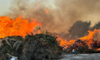 الأضرار الناجمة عن الحرائق في الشمال ضعف ما تسببت به الحرب على لبنان 2006